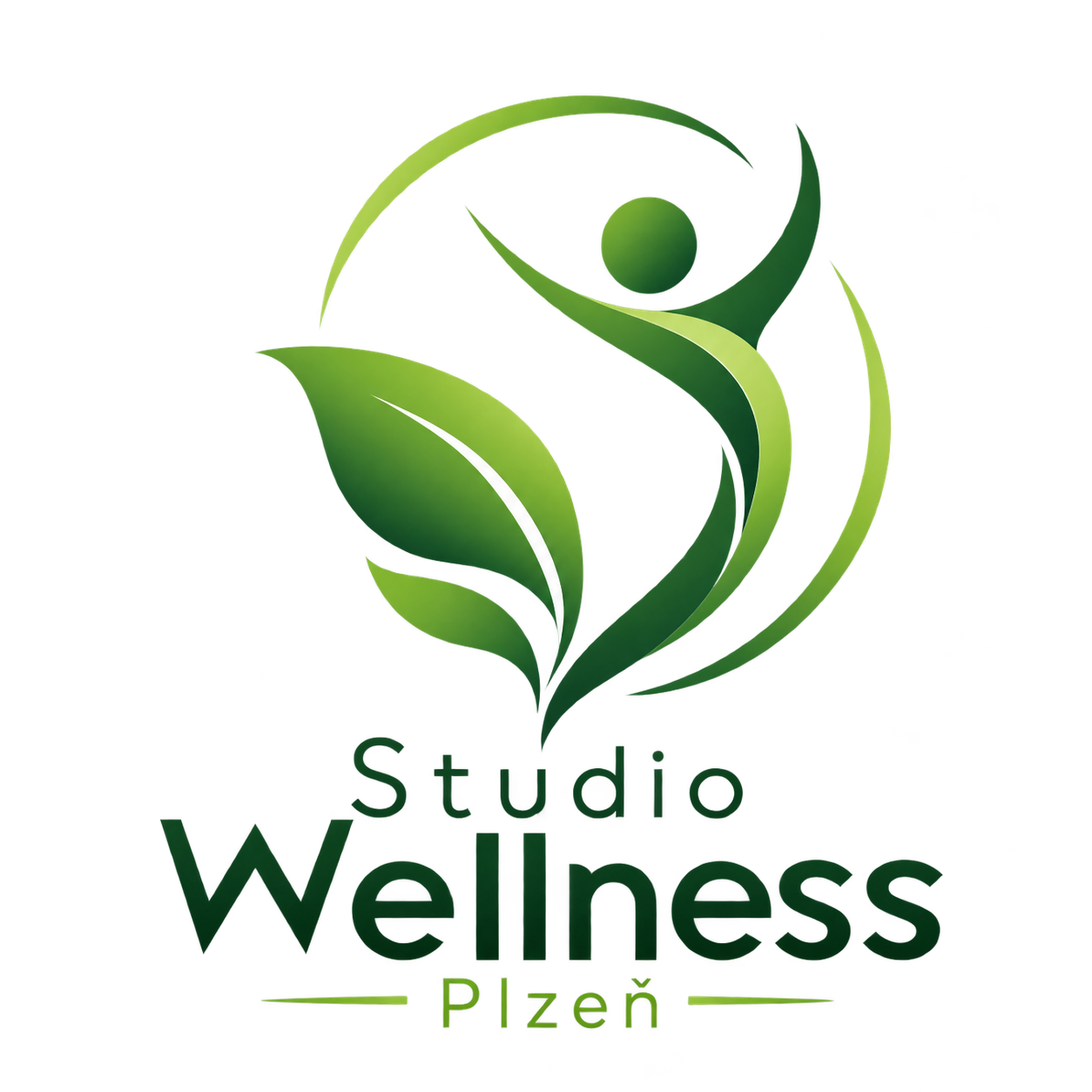 Studio Wellness Plzeň — schválené logo s listovým symbolem